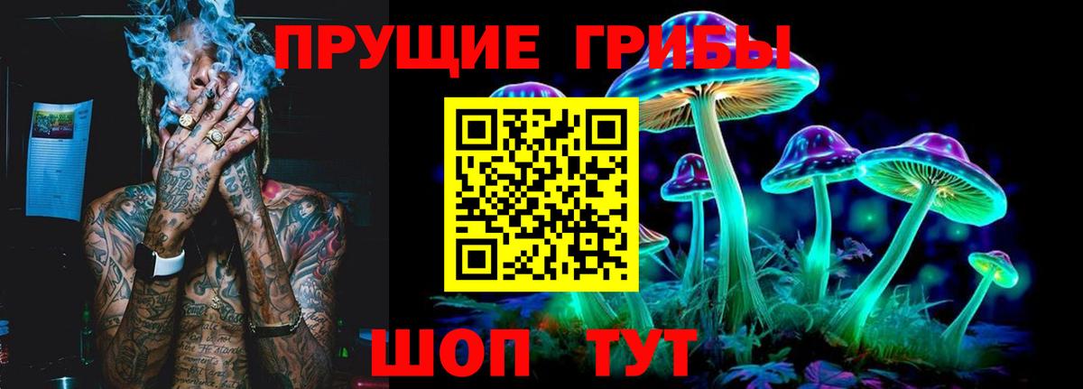 купить наркотики сайты  Псилоцибиновые грибы MAGIC MUSHROOMS  Псилоцибиновые грибы Cubensis  Вход с VPN  Сокол 